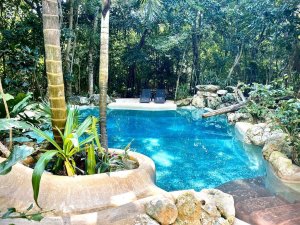 Bluestone Ayahuasca Bluestone Ayahuasca