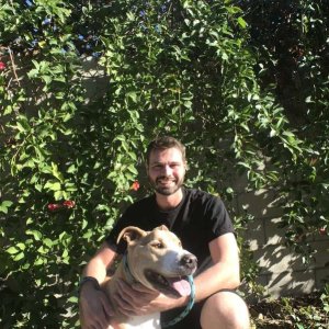 Dan Lachman Dan Lachman