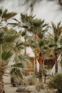 Salvaje Retreat Salvaje Retreat