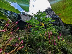 Mahāvana Foundation Mahāvana Foundation