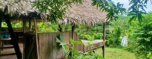 Paojilhuasca Amazon Medicine Camp Paojilhuasca Amazon Medicine Camp