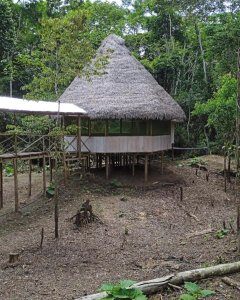 Luz Y Vida Amazon Lodge Luz Y Vida Amazon Lodge