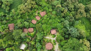 Killawasi Healing Center Killawasi Healing Center