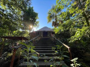 Apotheosis Rebirth Apotheosis Rebirth