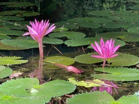 KELLY M FITZPATRICK KELLY M FITZPATRICK