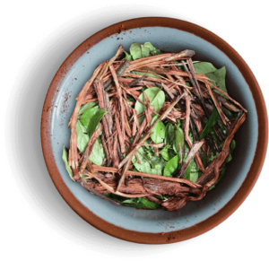 Ayahuasca Kindy Colibri Ayahuasca Kindy Colibri