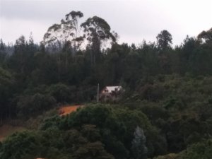 Rasa Healing Center Rasa Healing Center