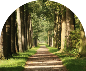 Dimensions Retreats Algonquin Highlands Dimensions Retreats Algonquin Highlands