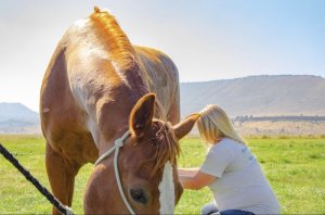 Jandi Briggs Jandi Briggs