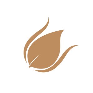 Neetika Dang, MBChB Neetika Dang, MBChB