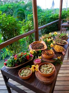 Spirit Vine Ayahuasca Retreat Center Spirit Vine Ayahuasca Retreat Center