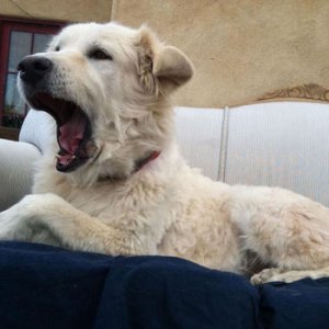 Paolo Giudici Paolo Giudici