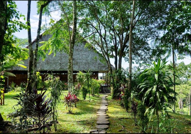 Flower of Life Ayahuasca Retreats