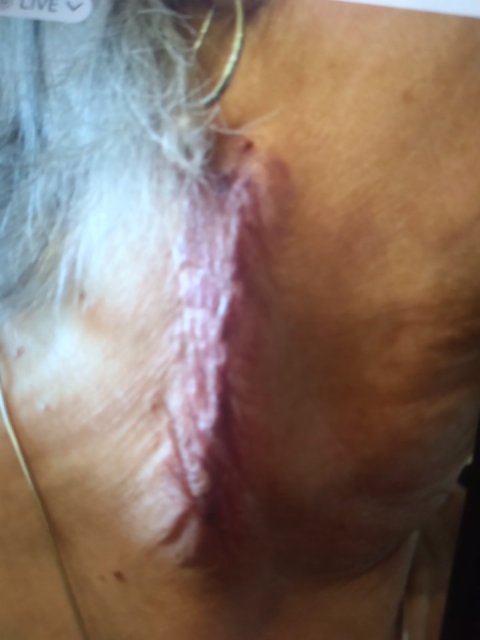 Sunny Donna McKellar