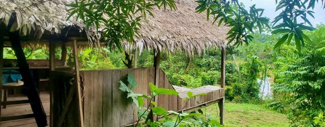 Paojilhuasca Amazon Medicine Camp