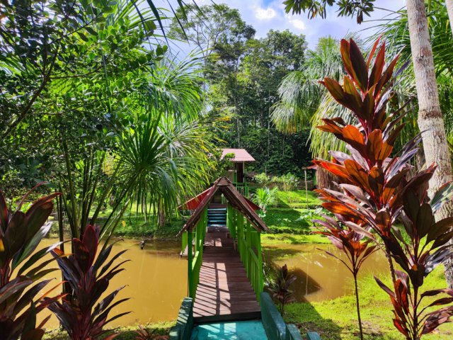 Hummingbird Healing Center