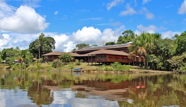 Ayahuasca Foundation