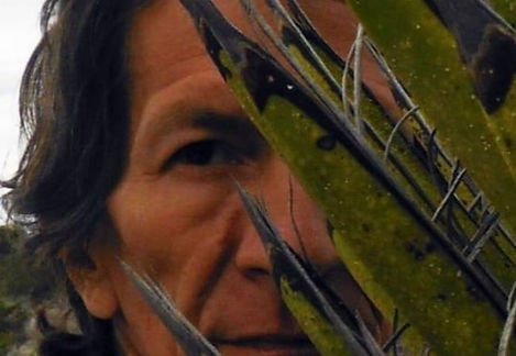 Bufo Alvarius Sanctuary