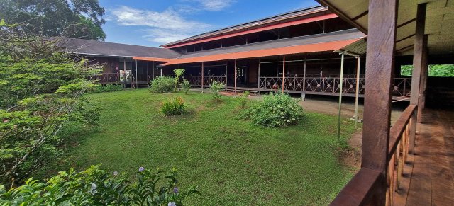 Ayahuasca Foundation